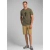 PrAna Mens Bear Squeeze Journeyman Tee