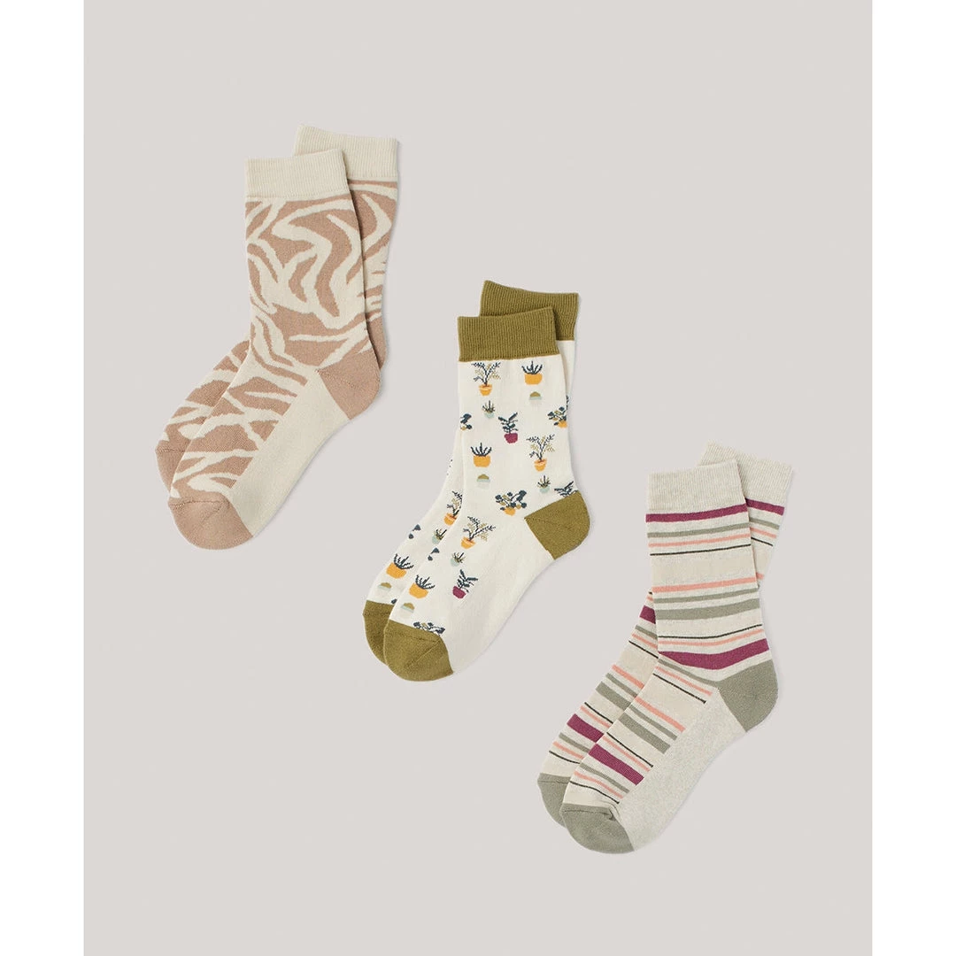 Pact Organic Women Premium Crew Socks 3-Pack 2 Pact Organic Women Premium Crew Socks 3-Pack