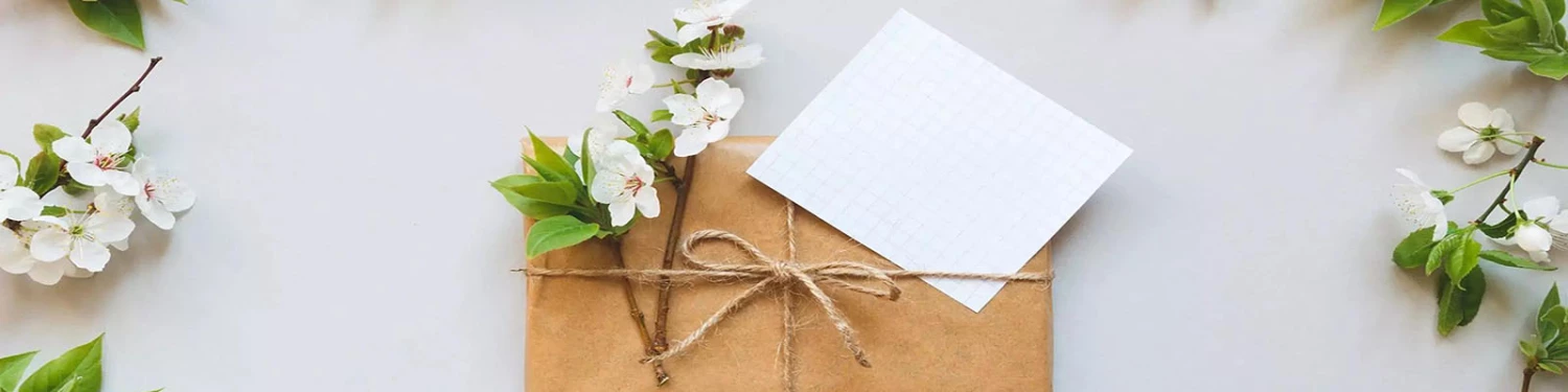 Cheap Filosano Store 2 Cheap Filosano Store -Cheap Filosano Store banner2